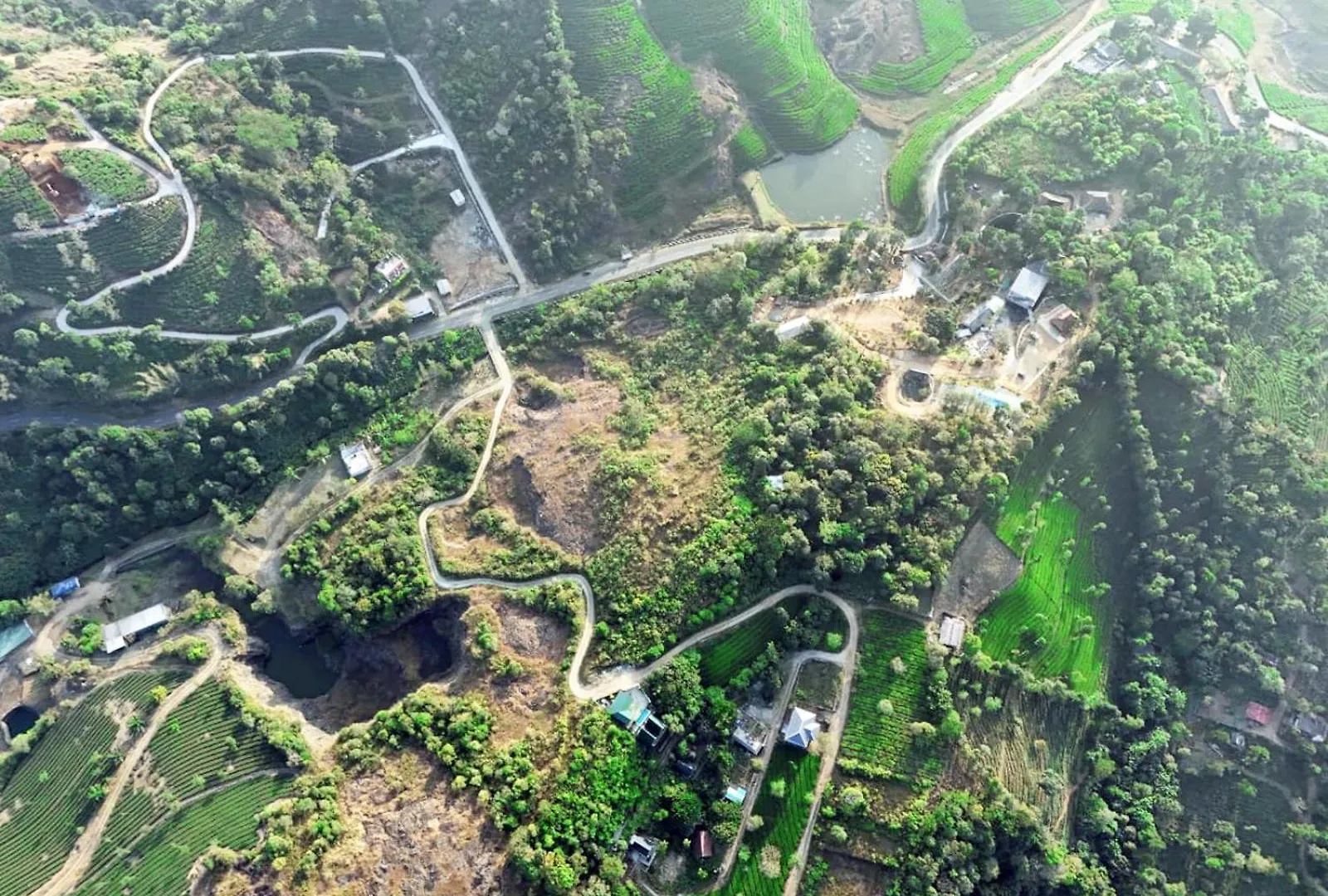 ヴィラ Vagamon Forest Canopy インド