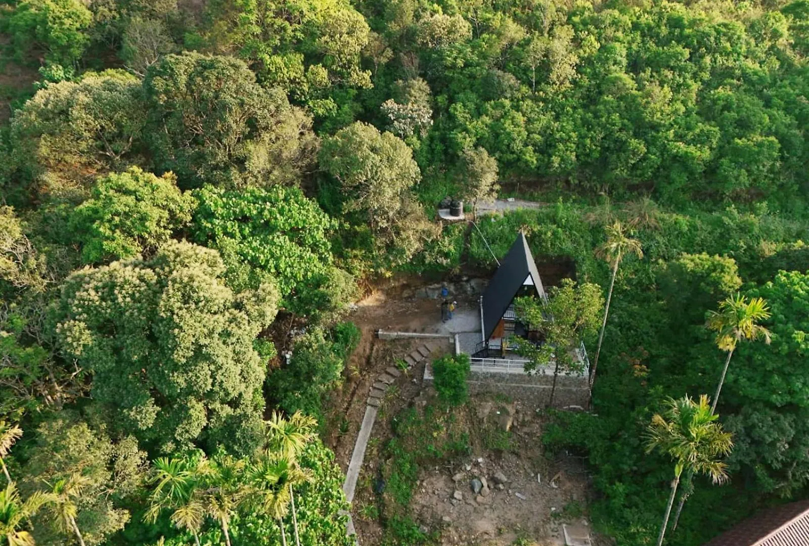 Vagamon Forest Canopy