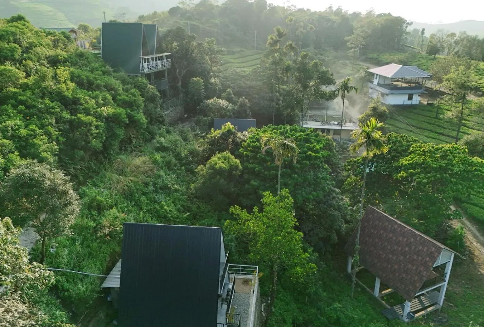 Vagamon Forest Canopy 0*,